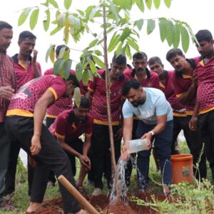 planting trees
